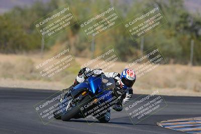 media/Nov-11-2023-SoCal Trackdays (Sat) [[efd63766ff]]/Turn 7 (2pm)/